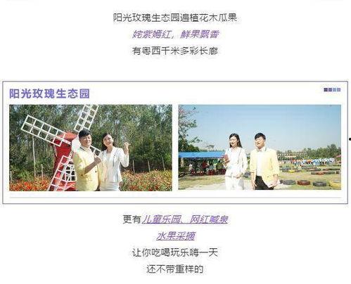 湛江网友爆料前夫视频播放,引发社会关注